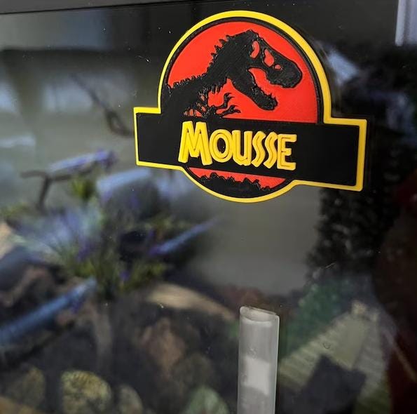 Jurassic Park Inspired Gecko Name Tag – Custom Lizard Tank Decor