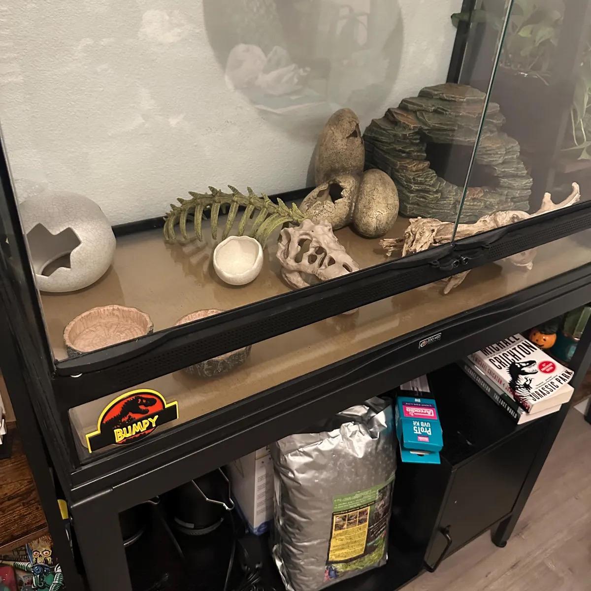 Jurassic Park Inspired Gecko Name Tag – Custom Lizard Tank Decor